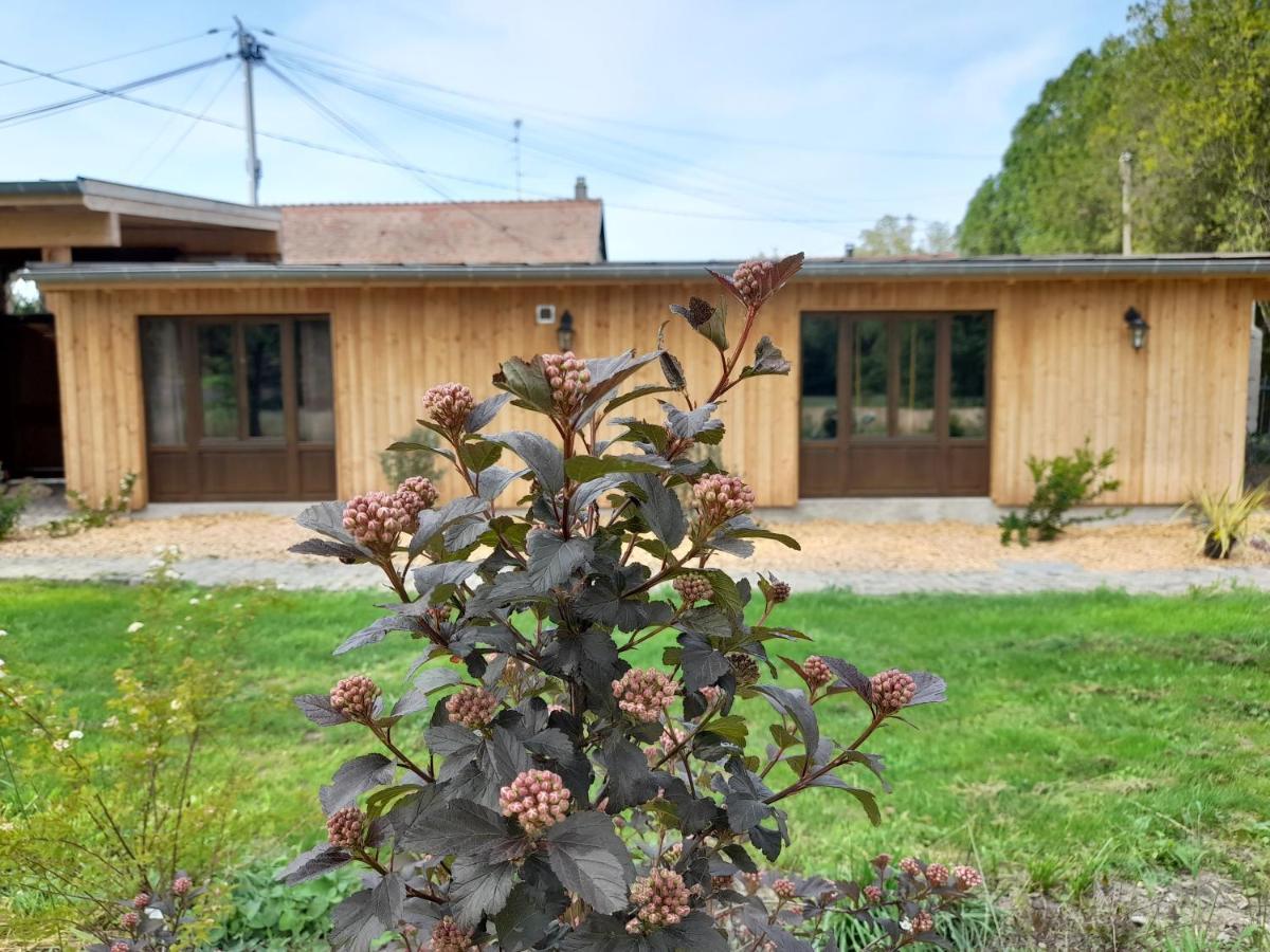 Les Cottages Du Chateau De Werde 马泽内姆 外观 照片