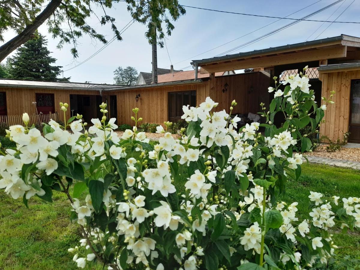 Les Cottages Du Chateau De Werde 马泽内姆 外观 照片
