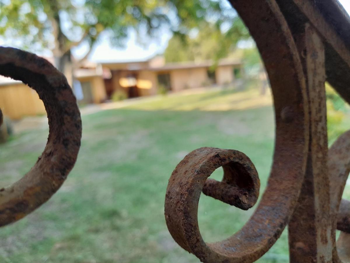 Les Cottages Du Chateau De Werde 马泽内姆 外观 照片