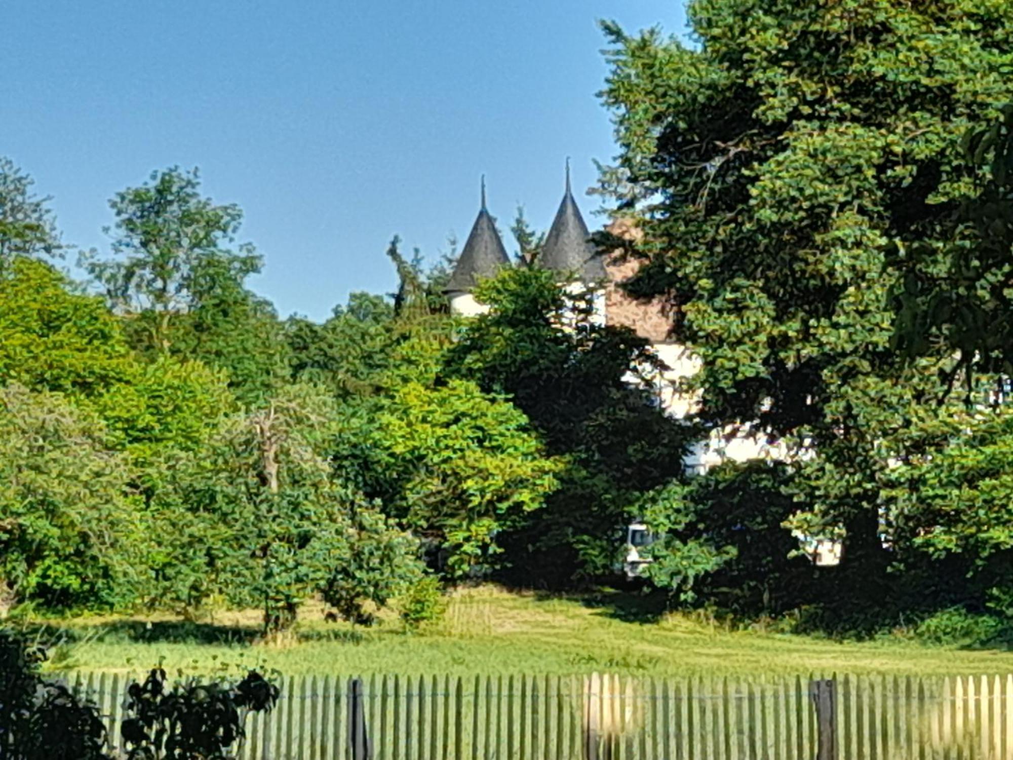 Les Cottages Du Chateau De Werde 马泽内姆 外观 照片